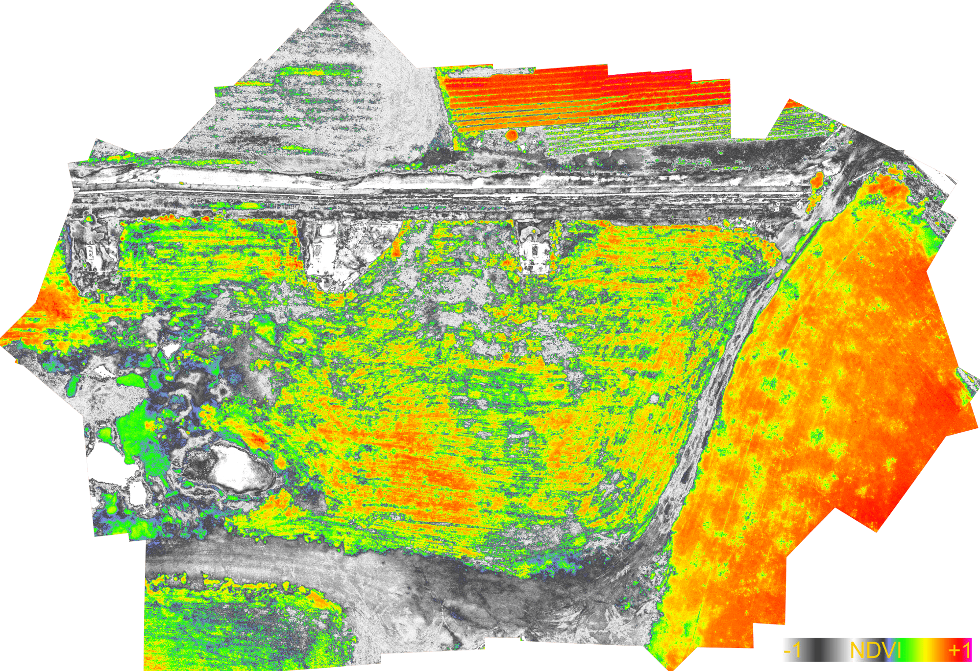 Mavic 3 Multispectral mappa NDVI Agricoltura